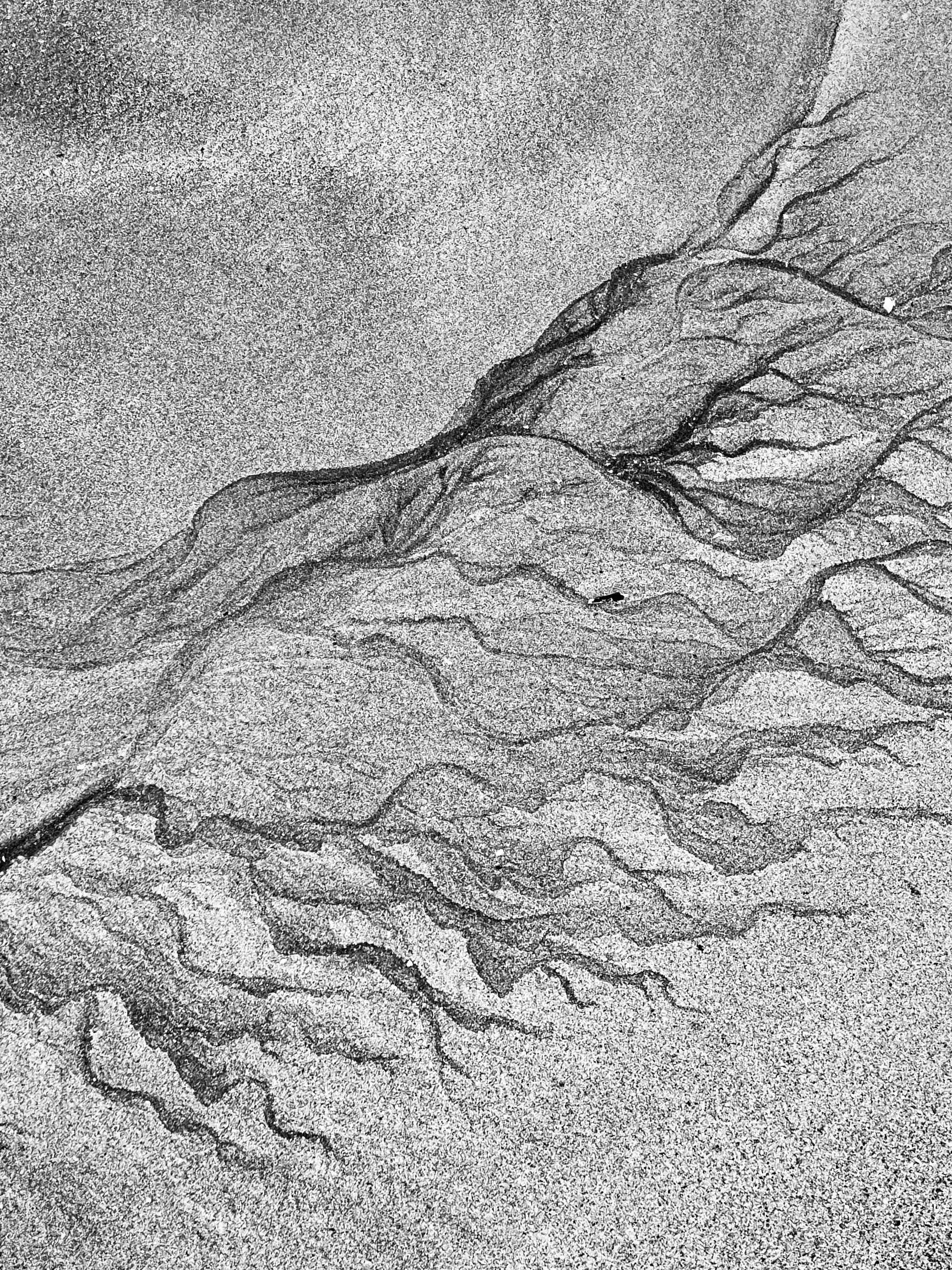 Where the Sea meets the Sand